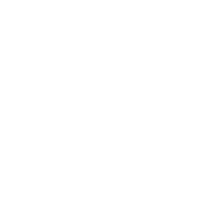 Share Icon